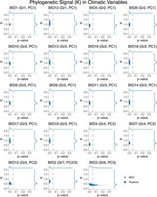 Contrasting Patterns of Climatic Niche Divergence in Trebouxia—A Clade of Lichen-Forming Algae